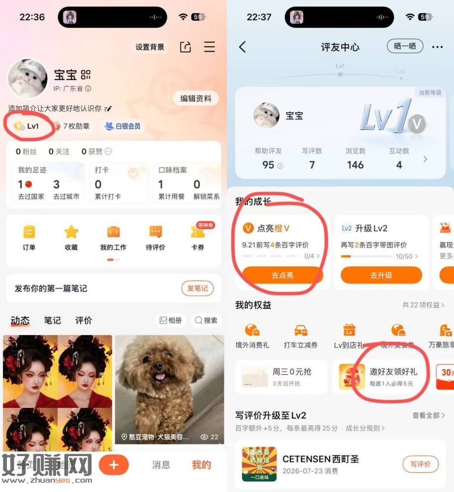 大众点评人人50