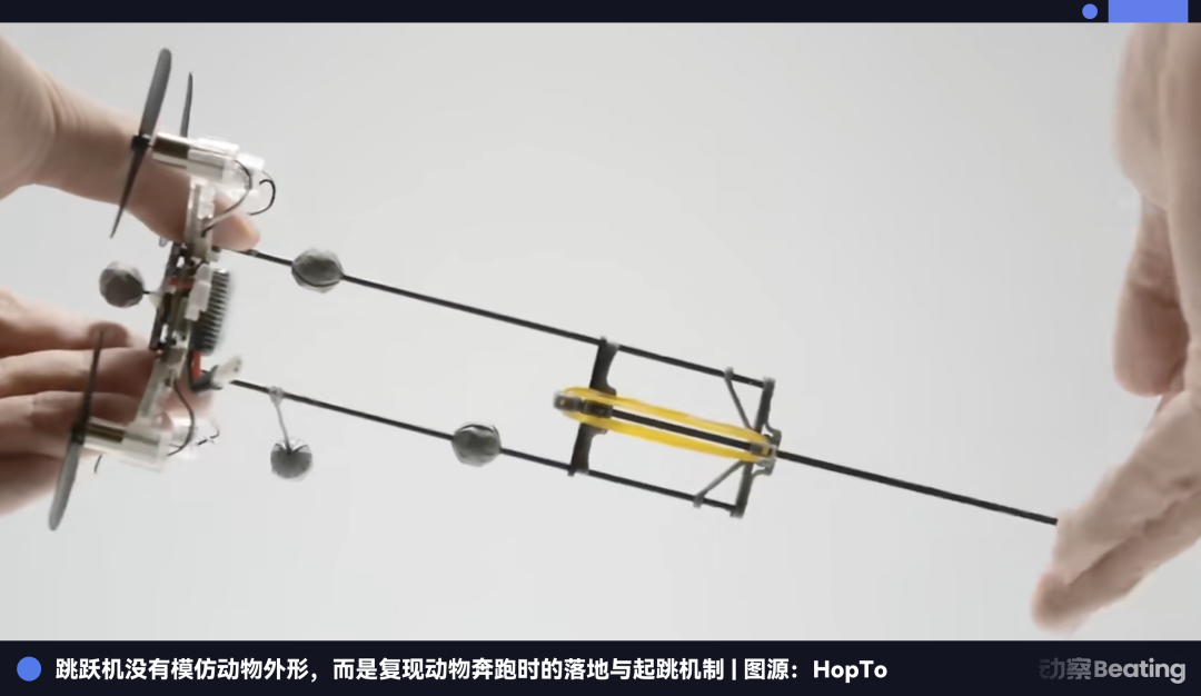 对话眺月科技王方正|从实验室跳向市场,一台单腿机器人的商业冒险