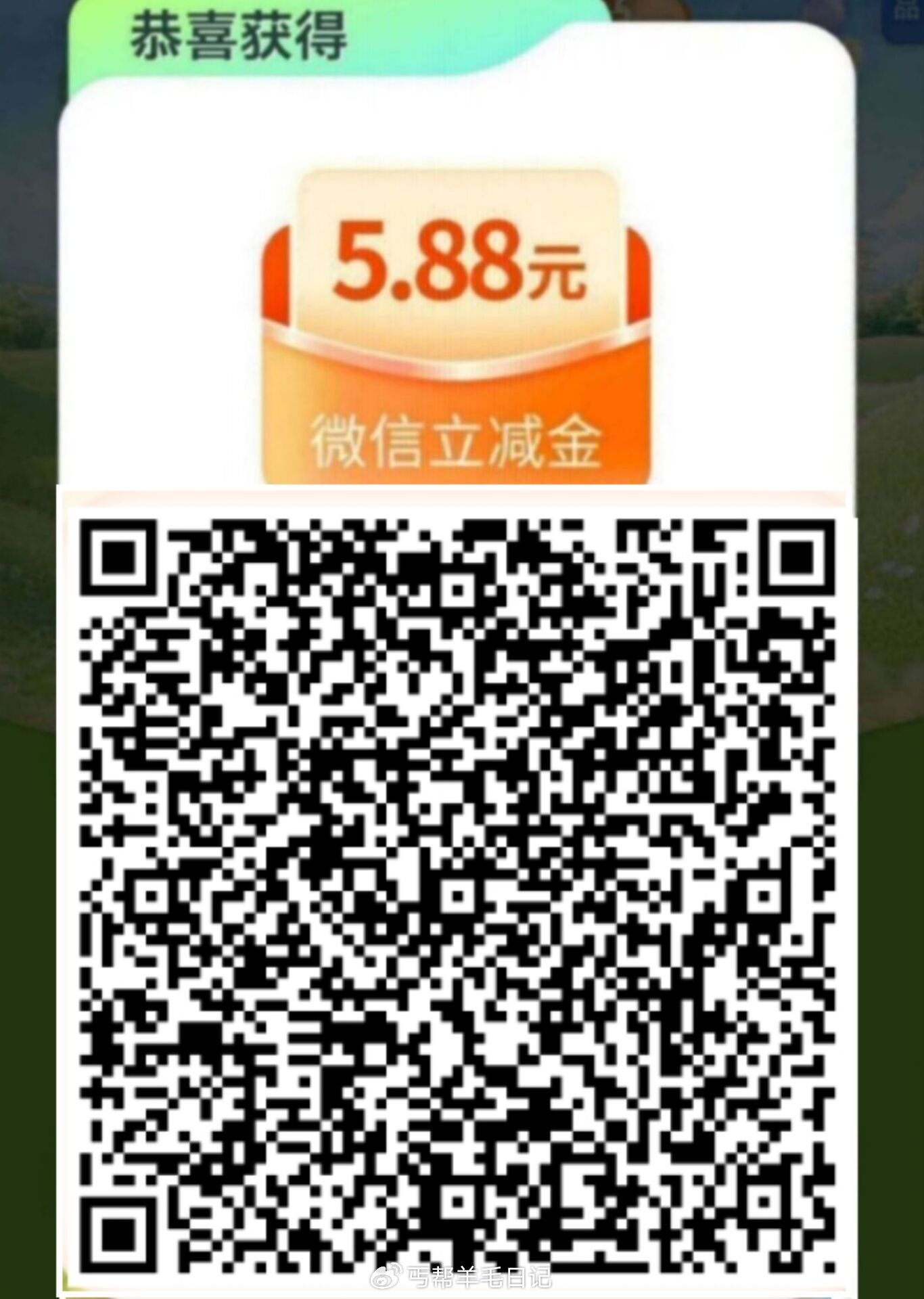 006qTH8lgy1igljki690oj311y1hcgrr.jpg