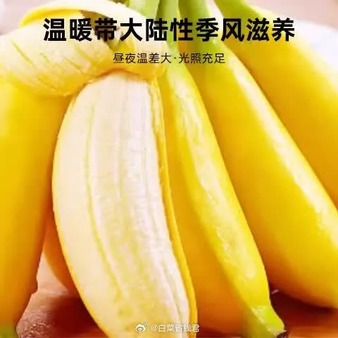 006rMgTOgy1igll0mqfcvj30dc0dcaaf.jpg