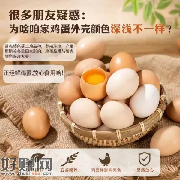 快秒❗超低价！！，10.9💰臻选鲜鸡蛋40g*20枚