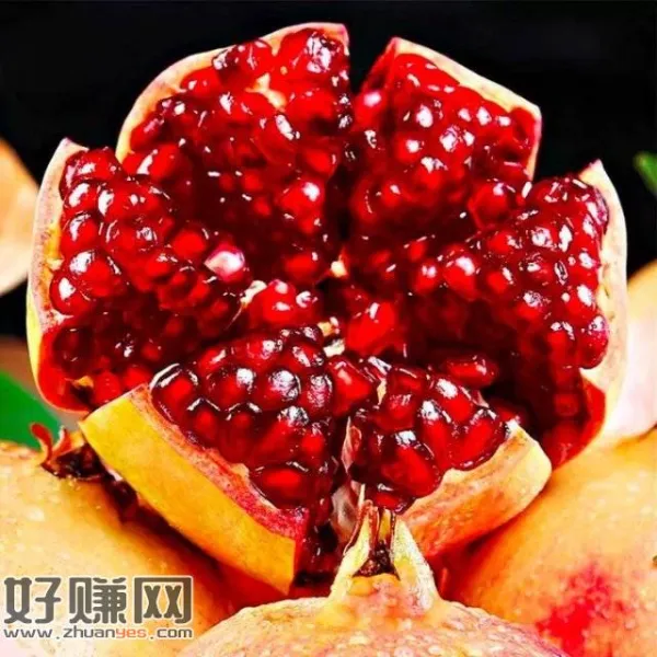 快秒❗跳转APP价格成立！！，9.8💰会理软籽石榴 带箱5斤