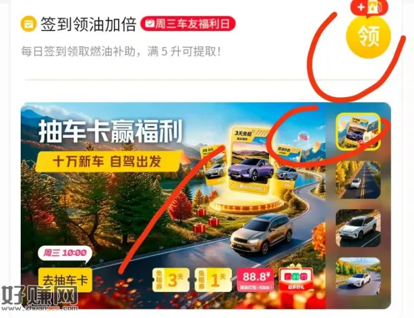 老毛去玩