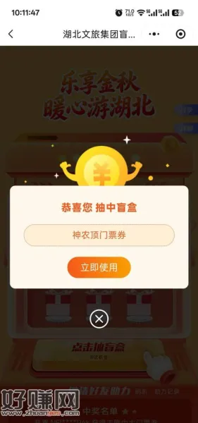游湖北抽门票