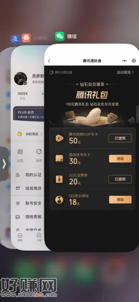 大毛 腾讯理财通铂金或钻石荟員