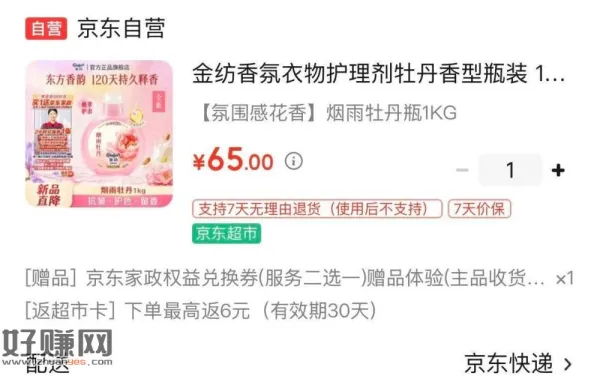 会出家政的看看 大城市很值