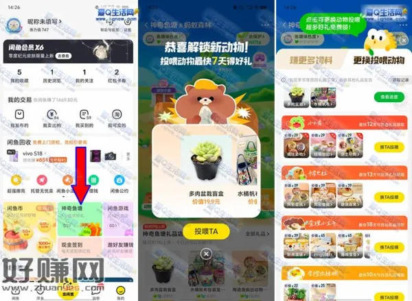 闲鱼神奇鱼塘 投喂动物领自选实物礼品